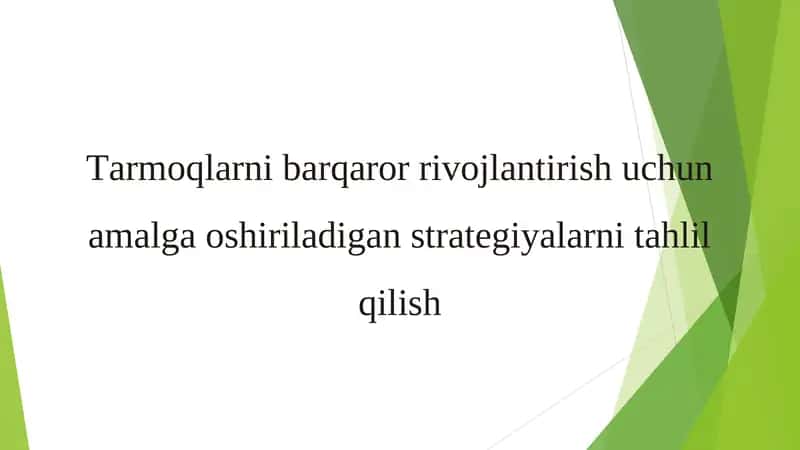 Tarmoqlarni barqaror rivojlantirish uchun amalga oshiriladigan strategiyalarni tahlil qilish