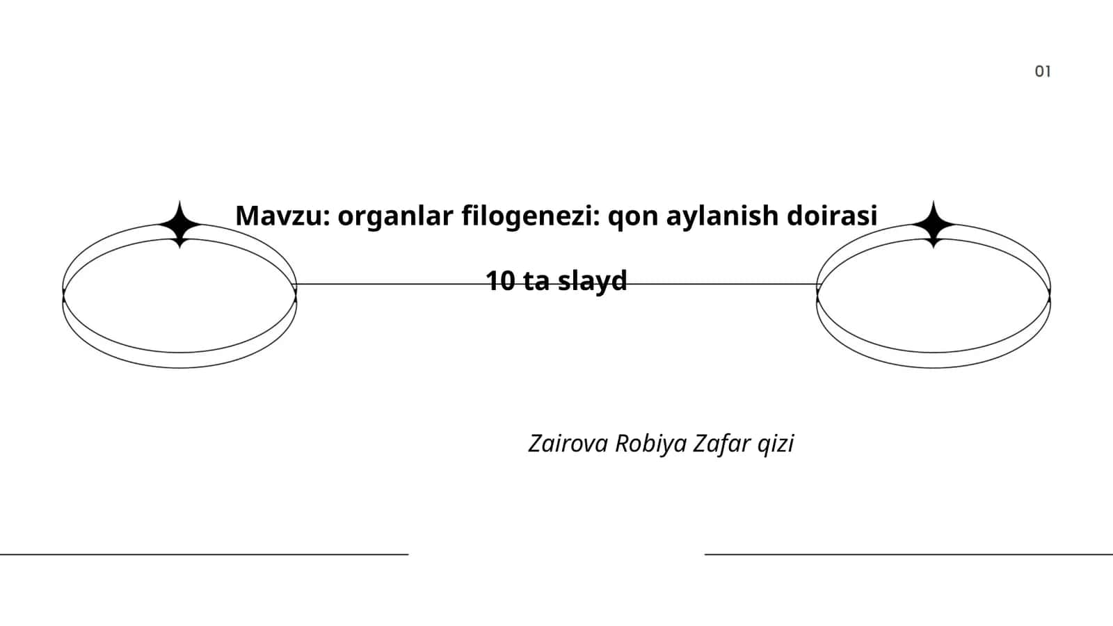 Qon aylanish tizimining filogenezi