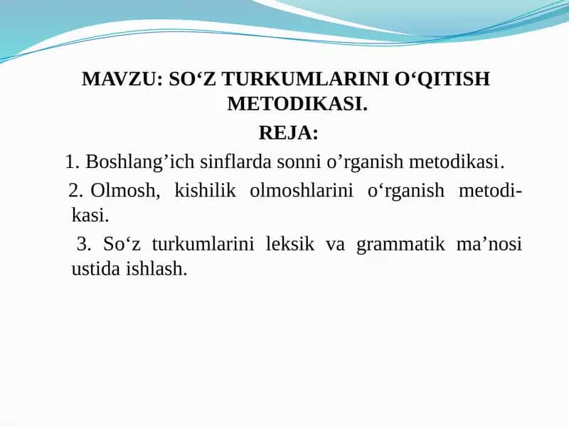SO‘Z TURKUMLARINI O‘QITISHMETODIKASI