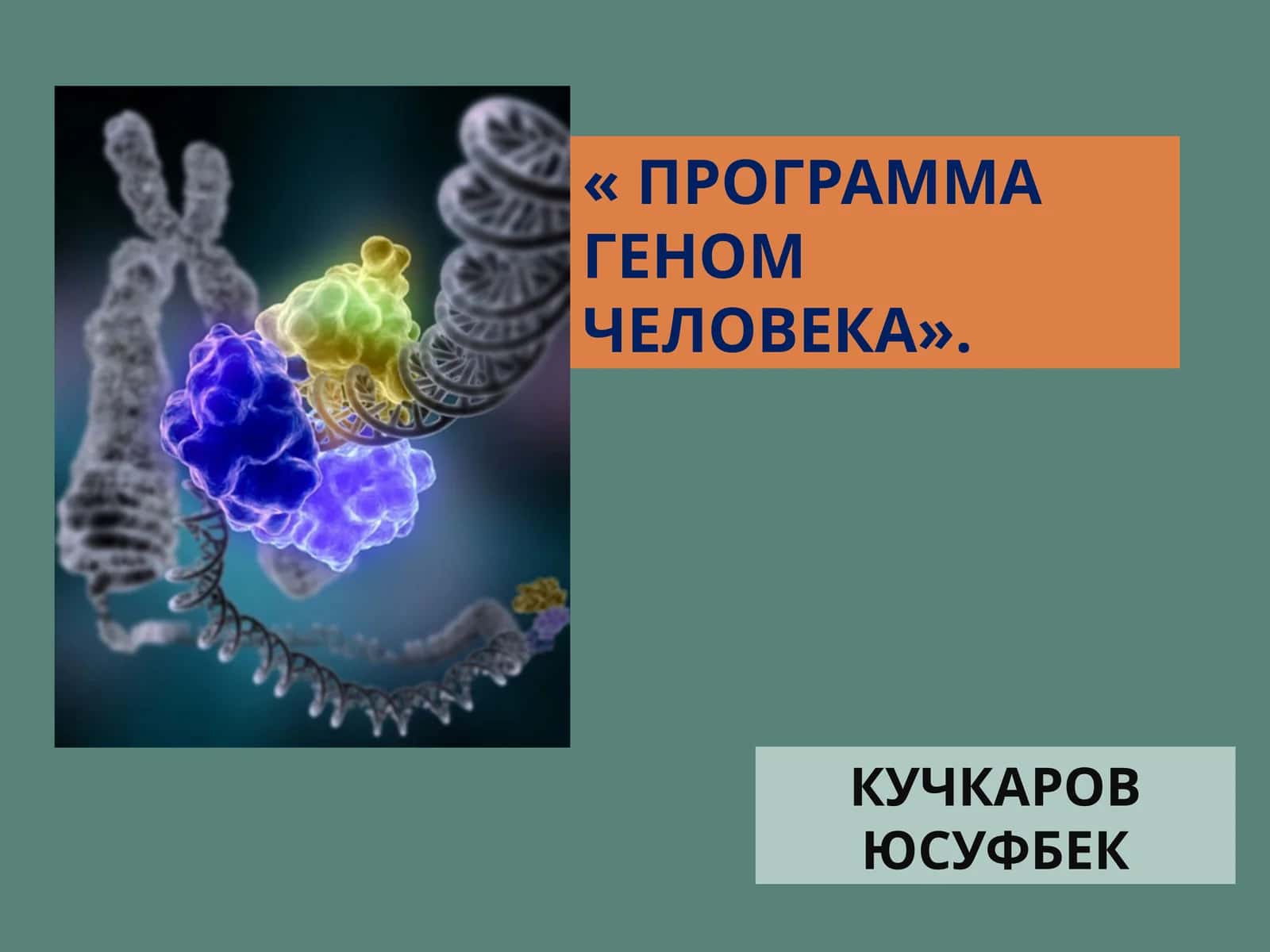 Программа Геном человека