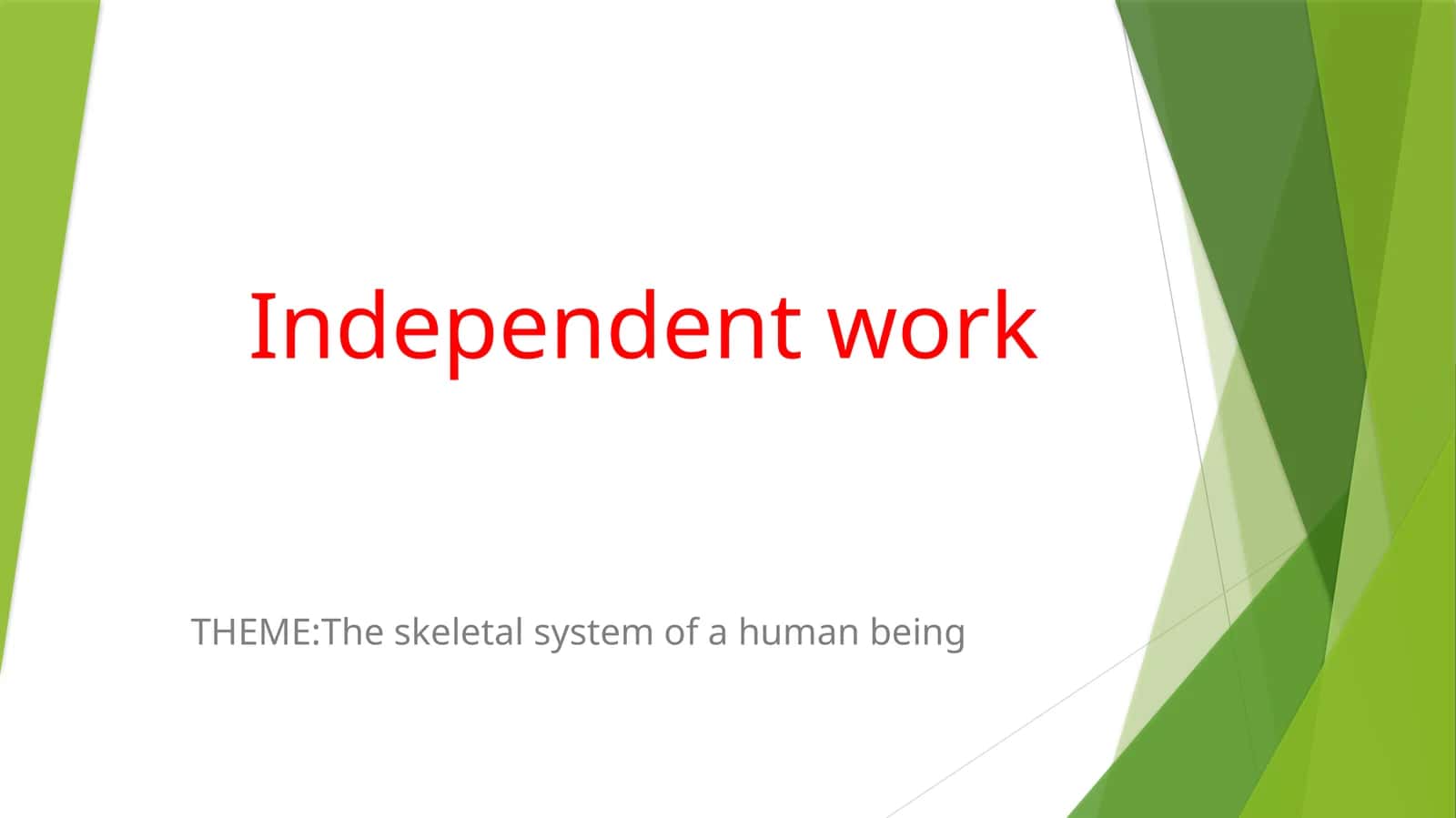 The skeletal system of a human being