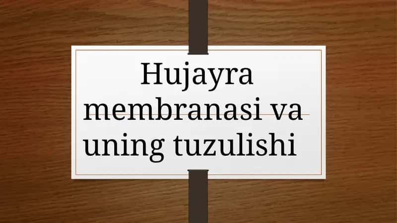 Hujayra membranasi va uning tuzulishi