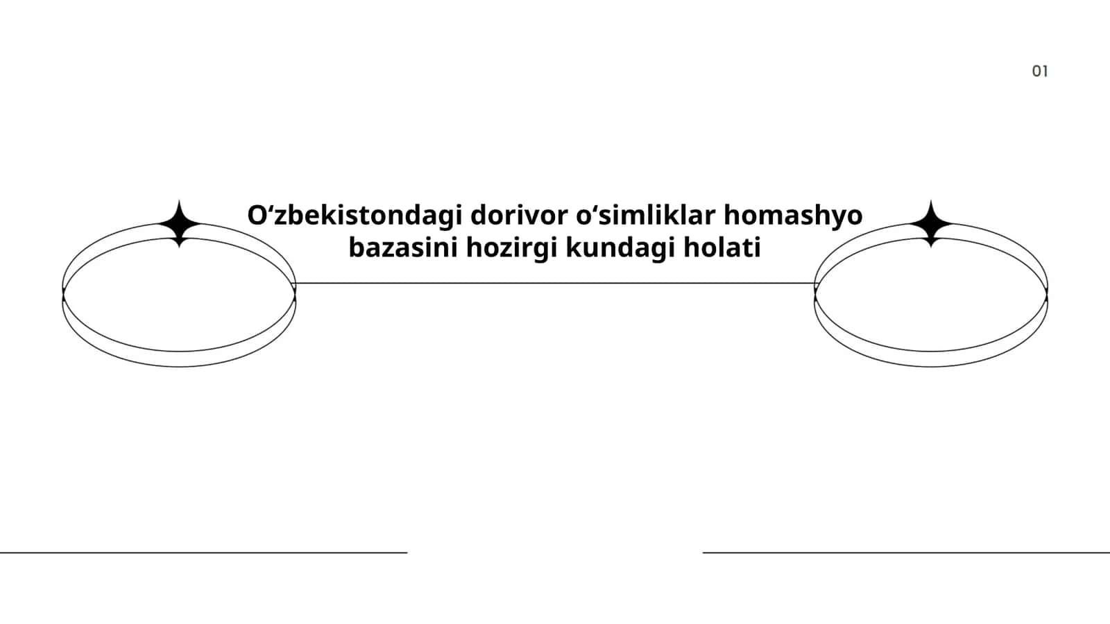 Oʻzbekistondagi dorivor oʻsimliklar homashyo bazasini hozirgi kundagi holati