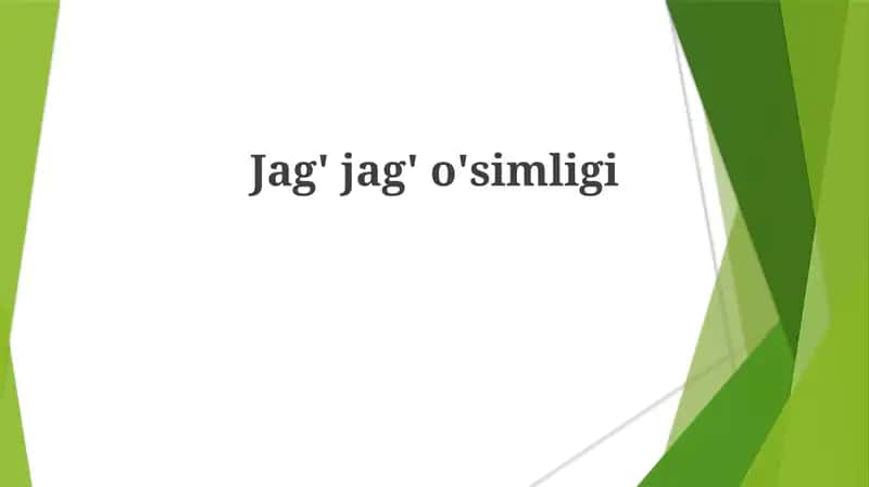 Jag' jag'o'simligi