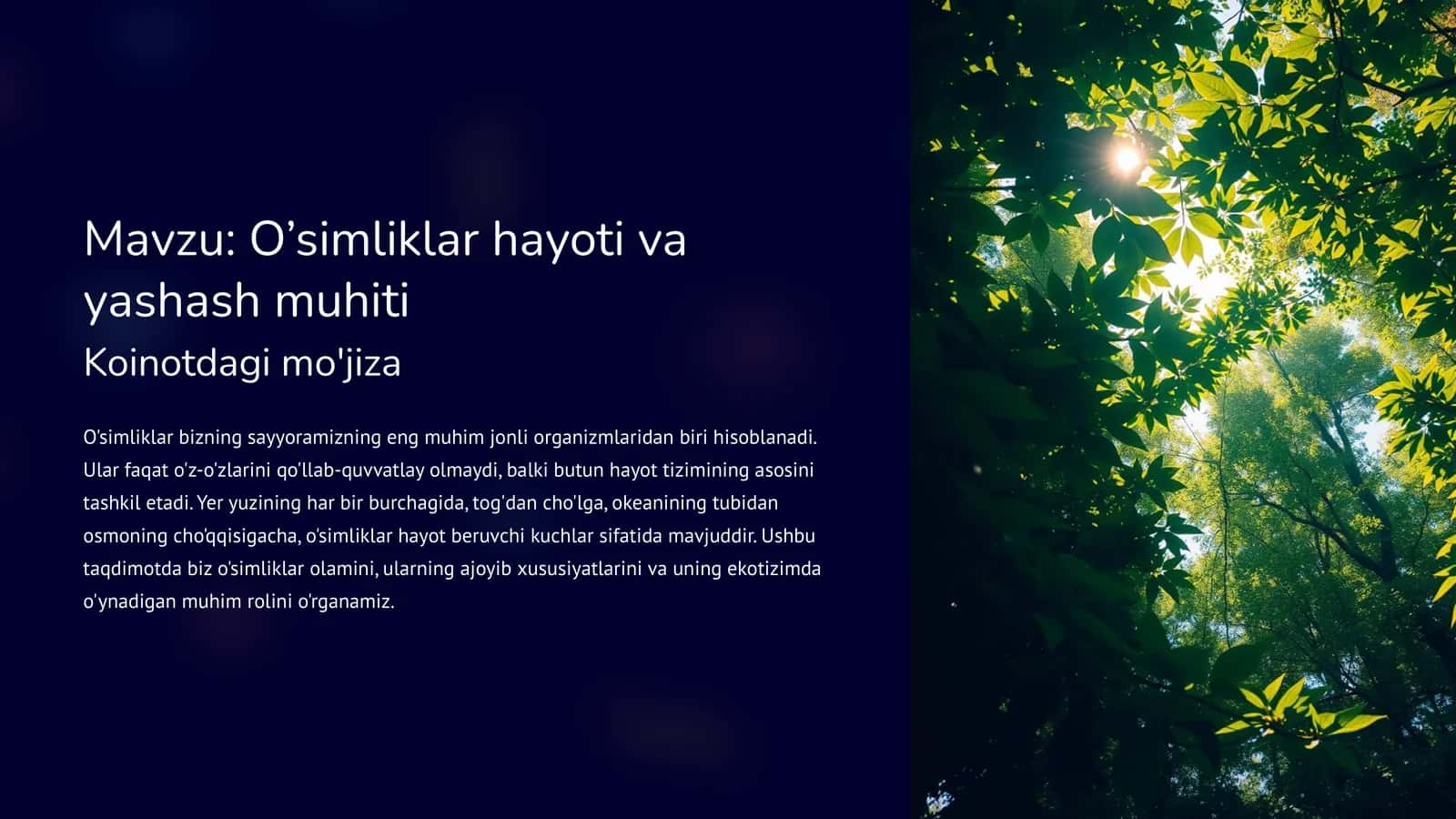 O’simliklarhayoti va yashash muhiti