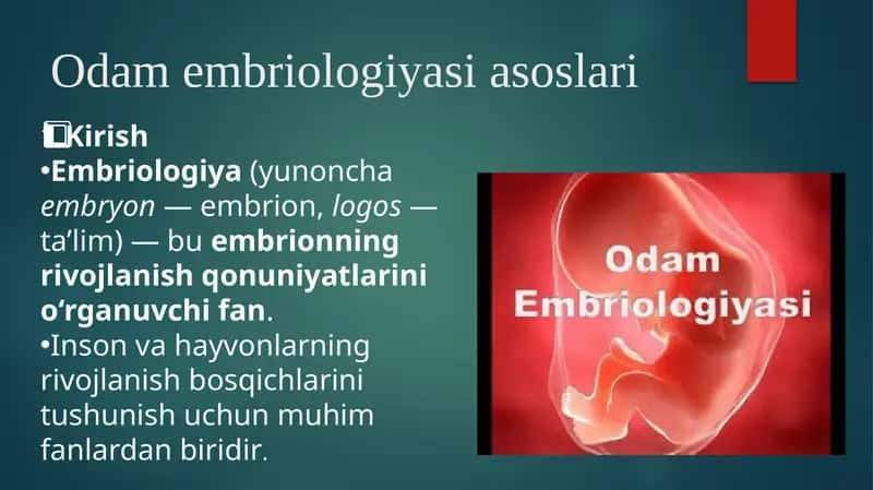 odam embriologiyasi