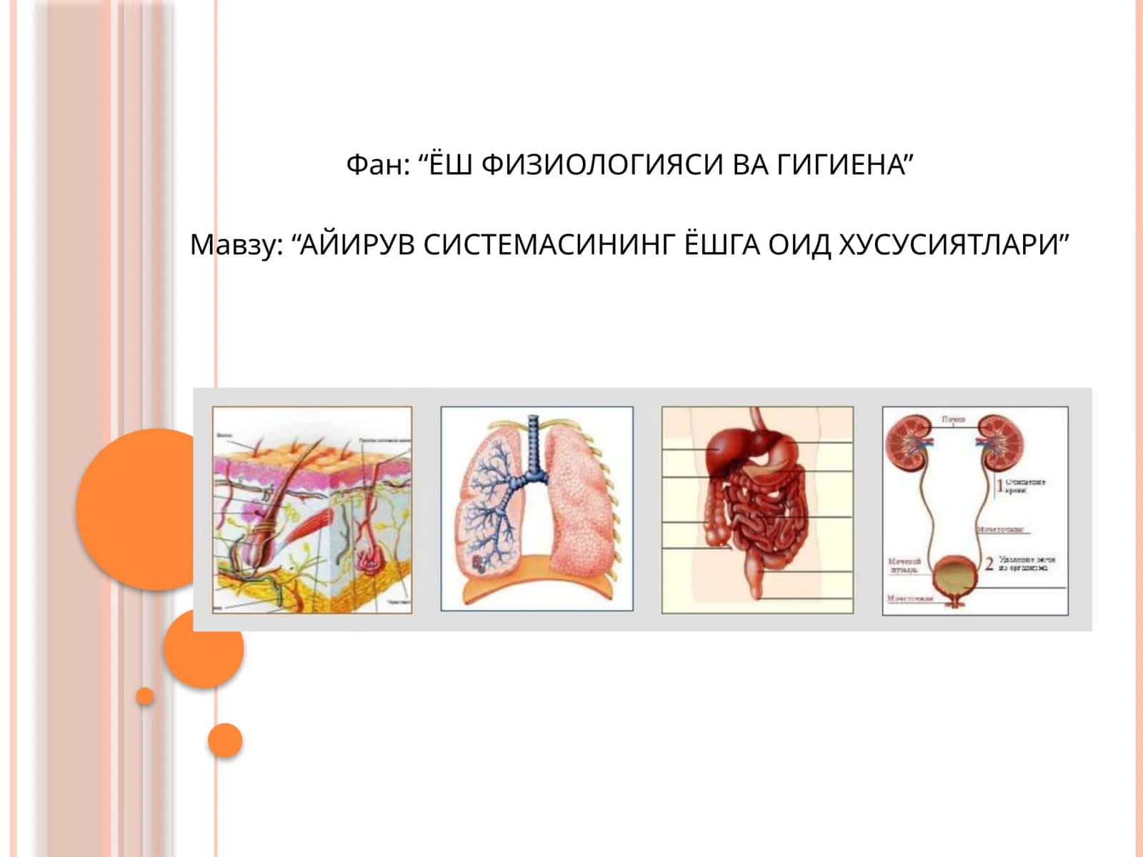 AЙИРУВ -метаболизмнингбирқисмибўлиб