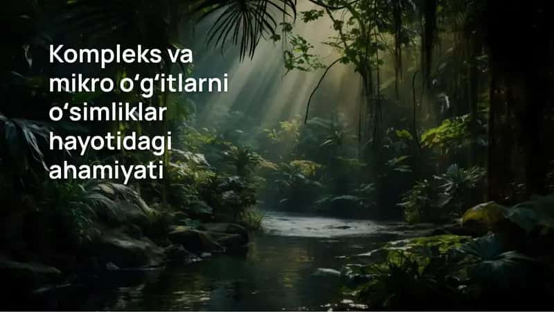Kompleks va mikro oʻgʻitlarni oʻsimliklar hayotidagi ahamiyati