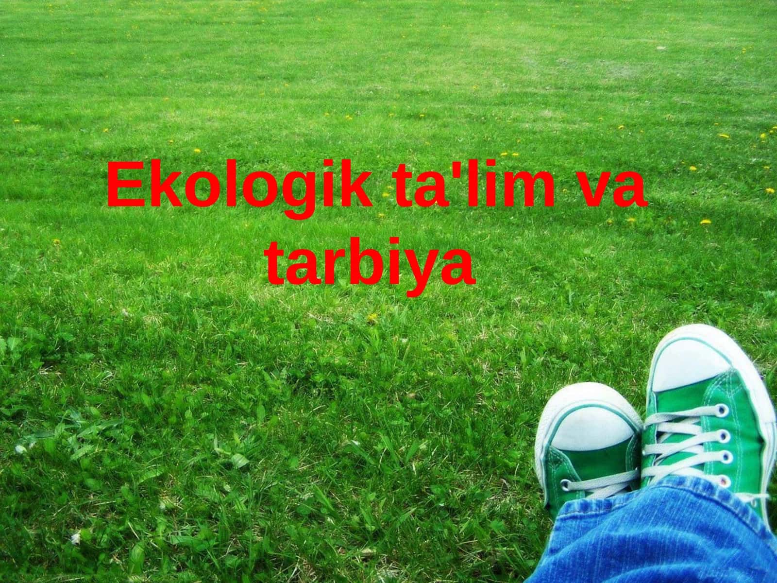 Ekologik ta'lim va tarbiya