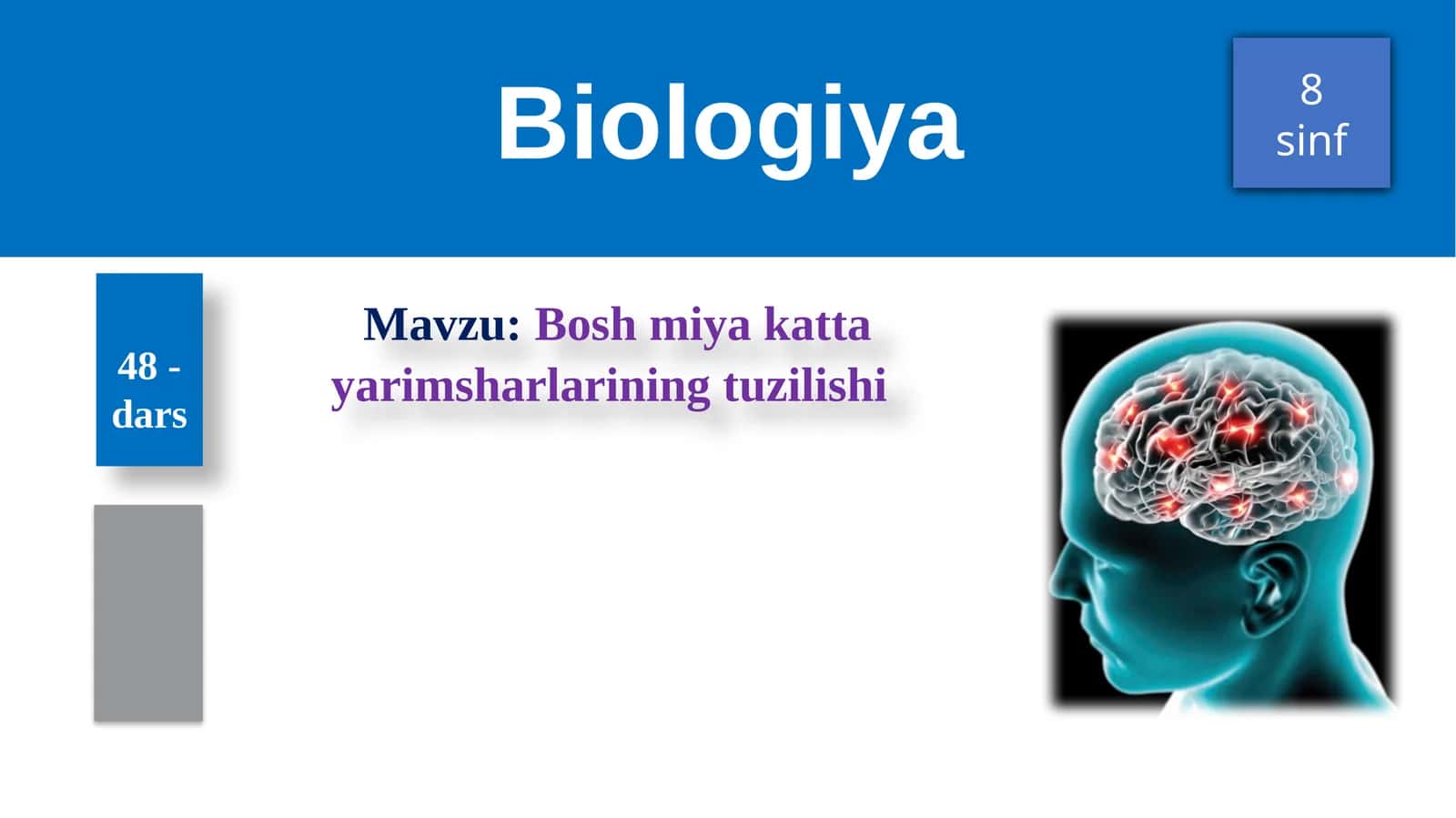 Boshmiyakattayarimsharlariningtuzilishi