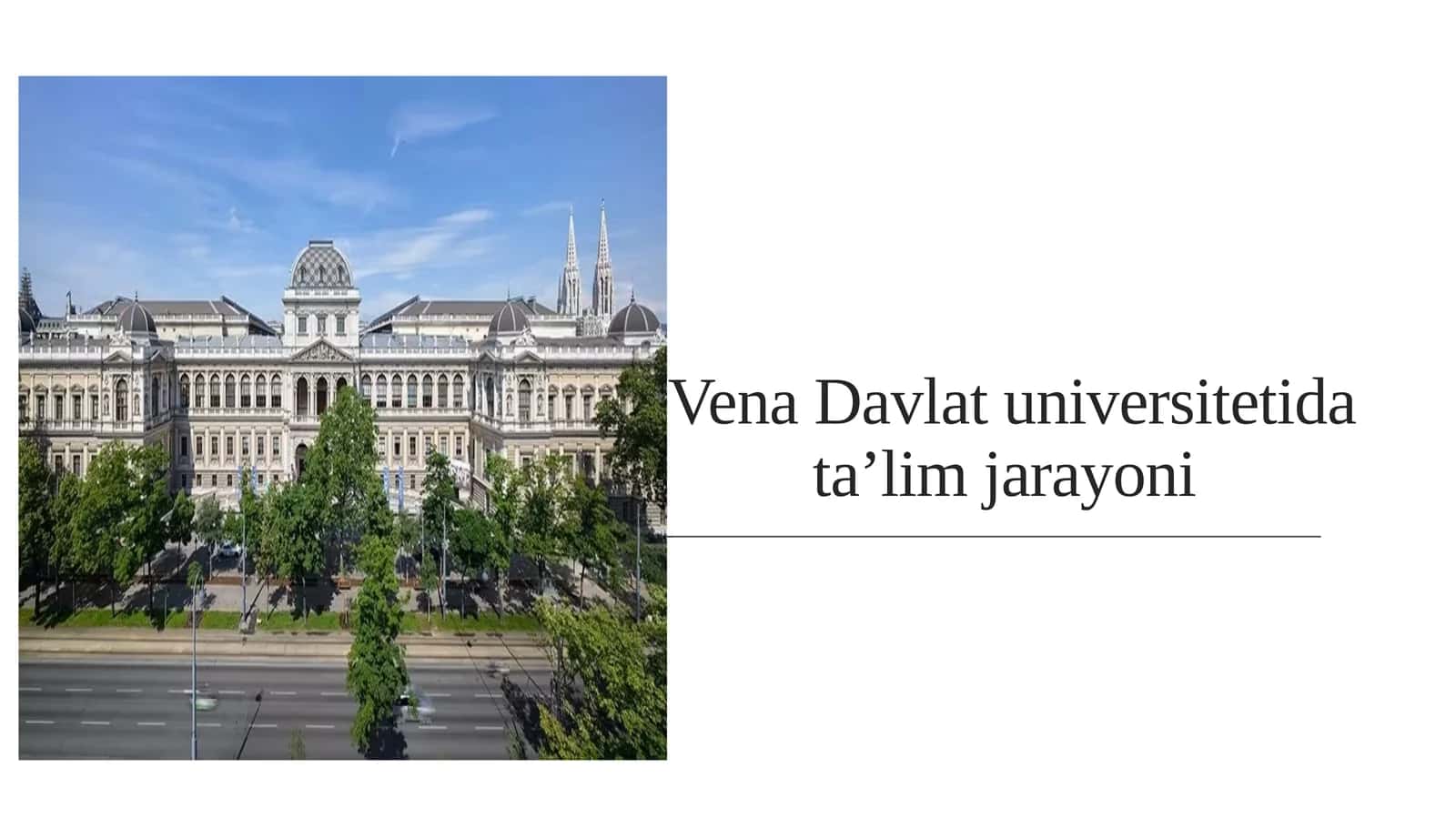 Vena Davlat universiteti data’lim jarayoni