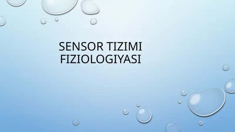 SENSOR TIZIMI FIZIOLOGIYASI