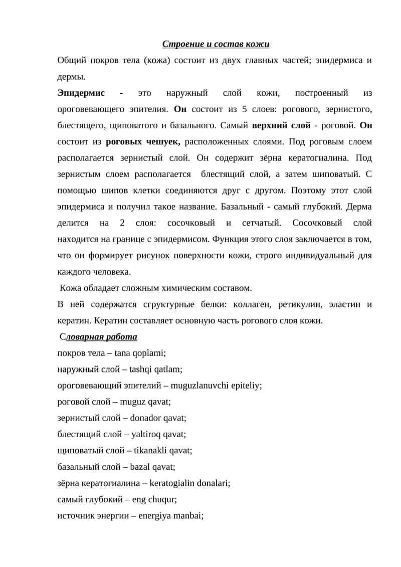 Строение и состав кожи