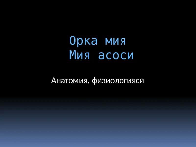 Орка мия