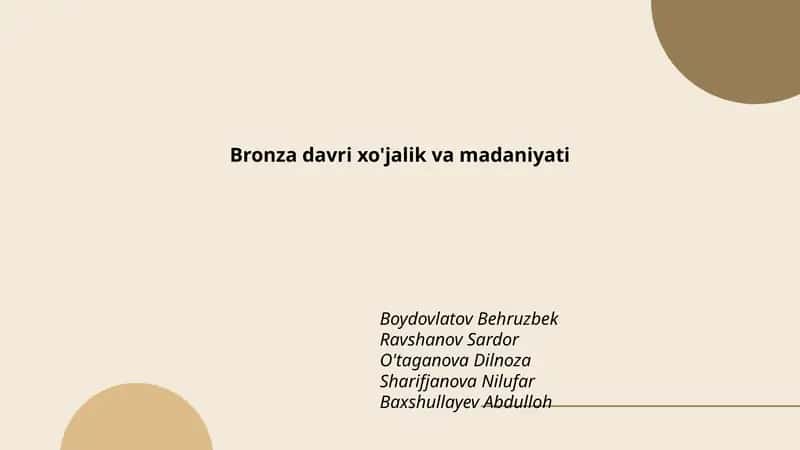 Bronza davri xo'jalik va madaniyati