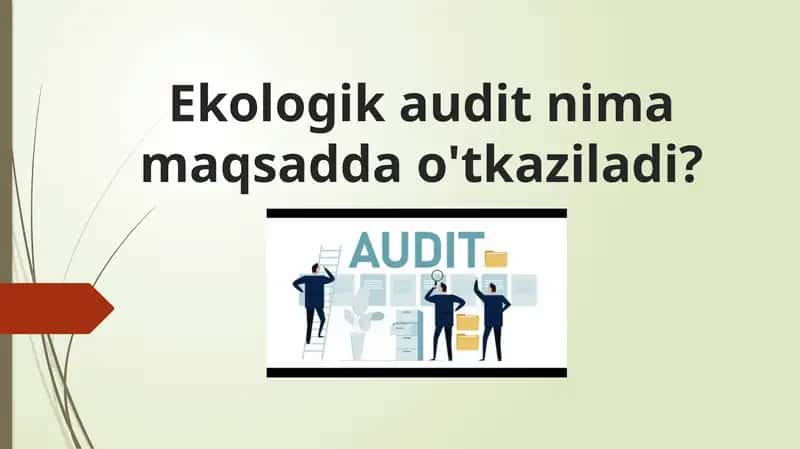 Ekologik audit nima maqsadda o'tkaziladi?