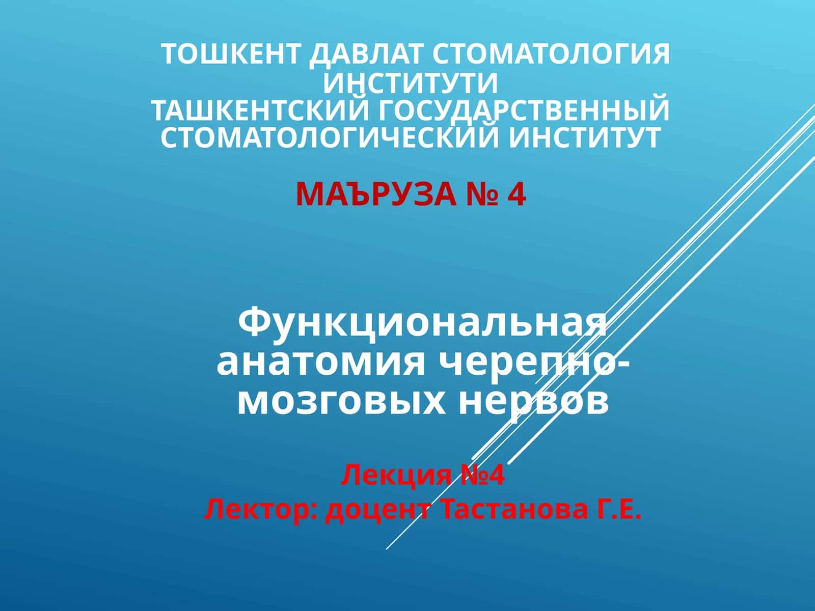 Функциональная анатомия черепно-мозговых нервов