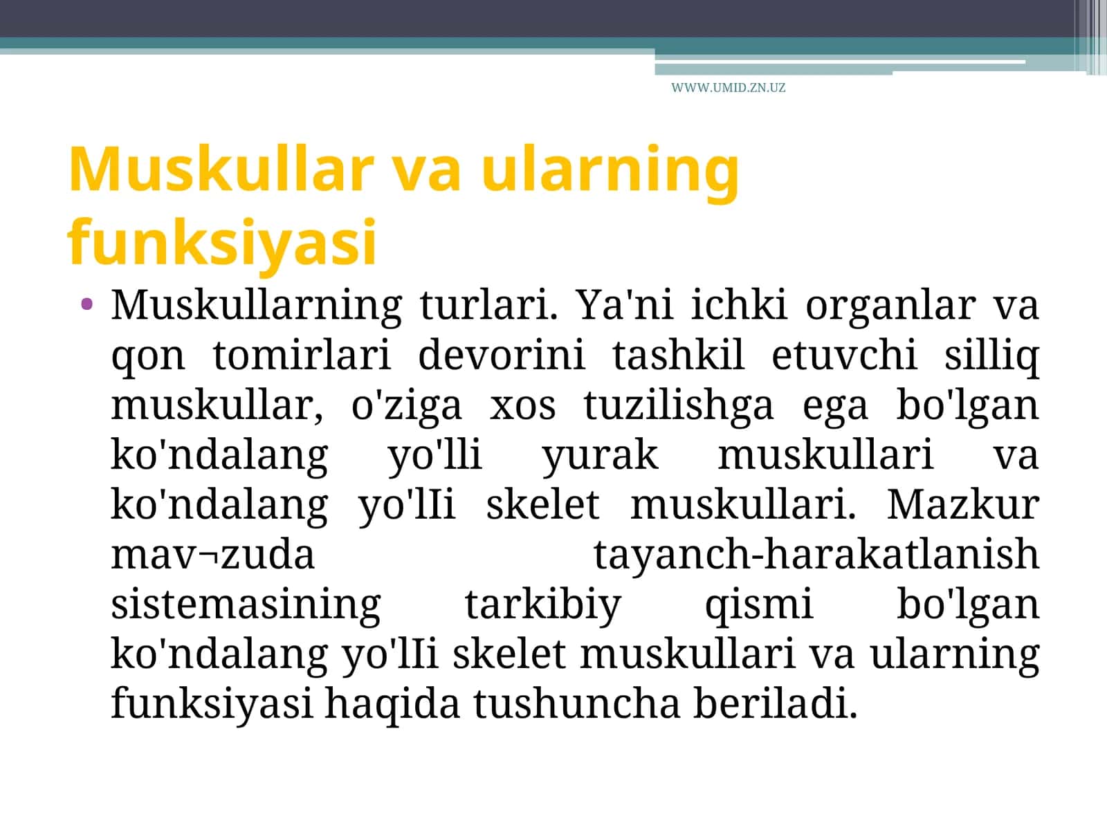 Muskullar va ularning funksiyasi