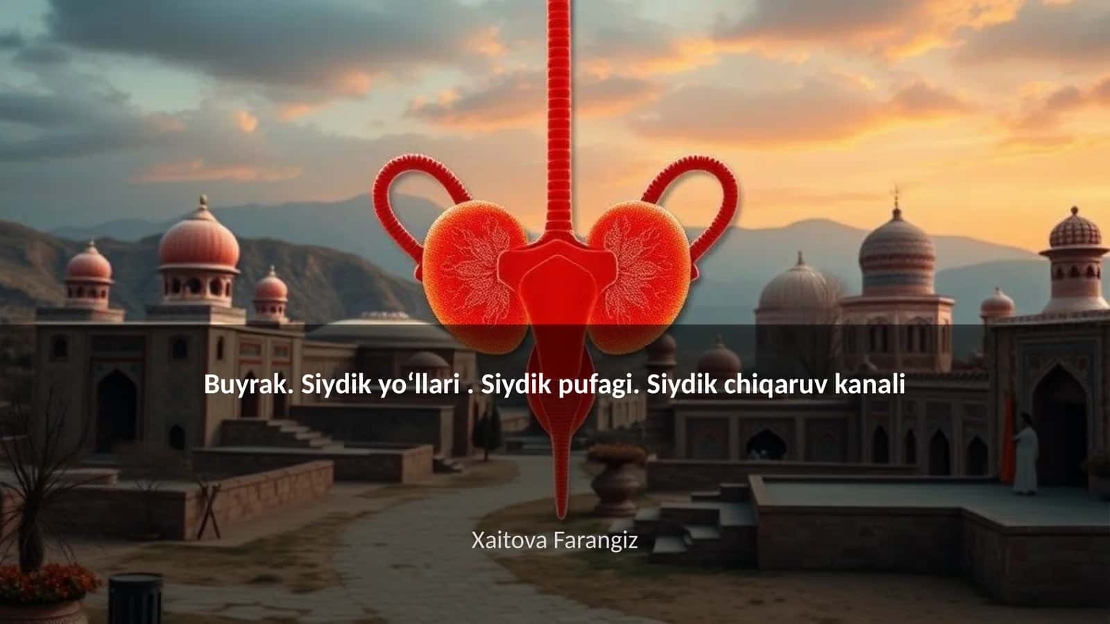 Buyrakning anatomik tuzilishi