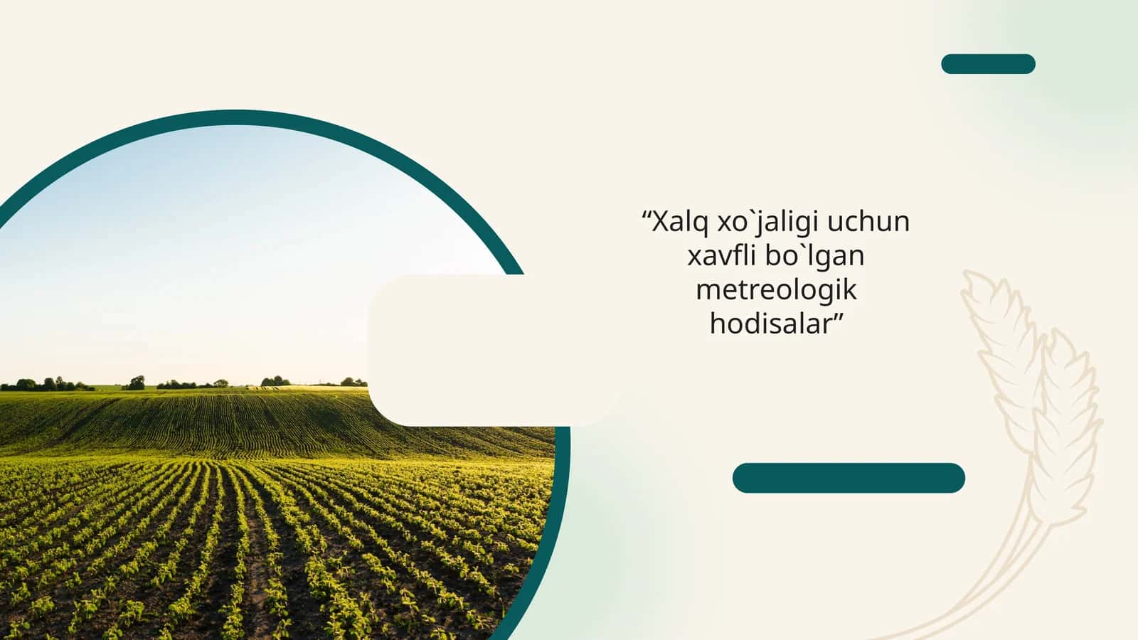 “Xalq xo`jaligi uchun xavfli bo`lgan metreologik hodisalar”
