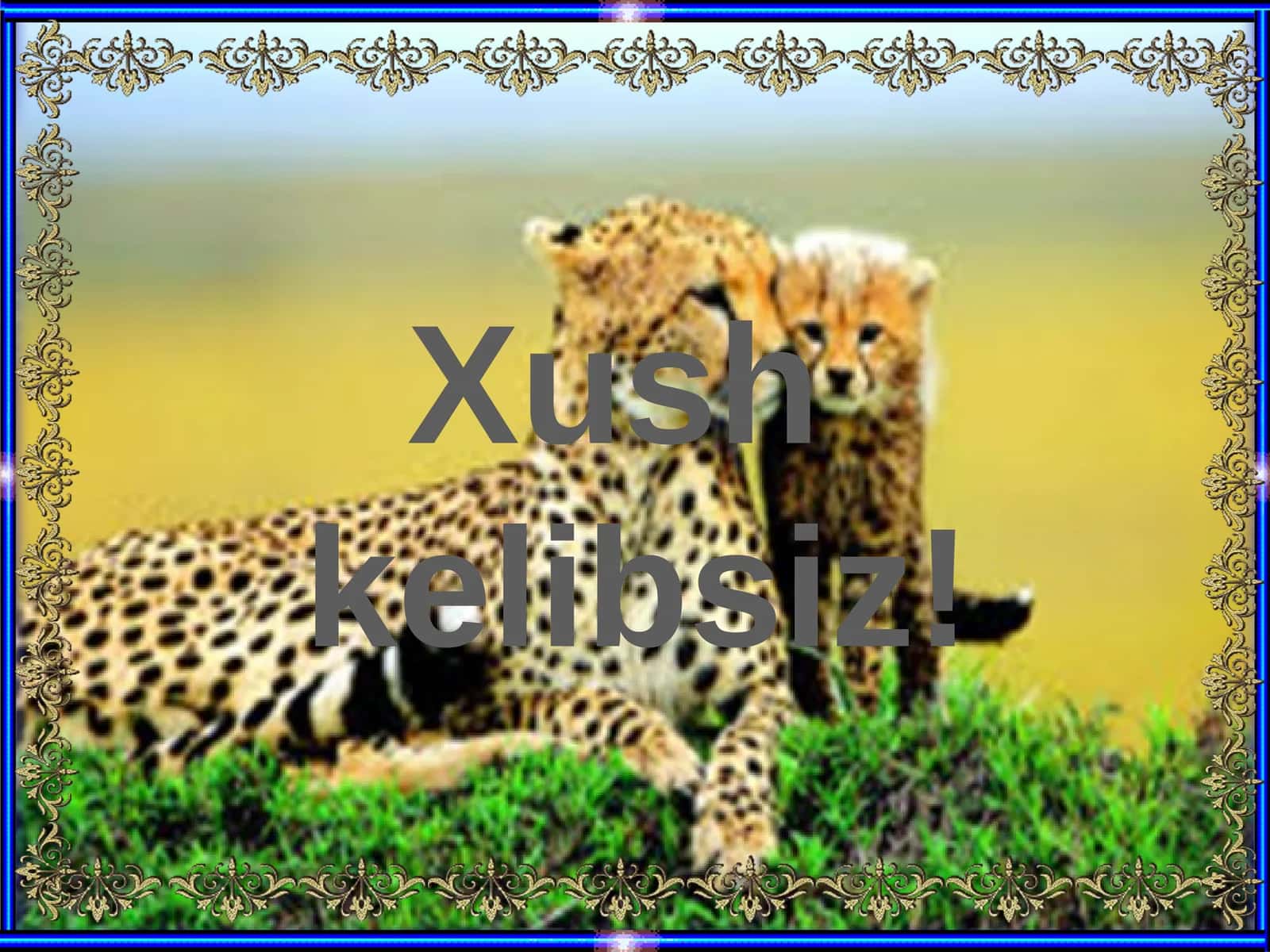 Primatlarturkumi. Sutemizuvchilarningahamiyati. O`smirlikdavriningpsixologik o`zigaxosligivaularningshaxslararo munosabatlardanomoyonbo`lishi