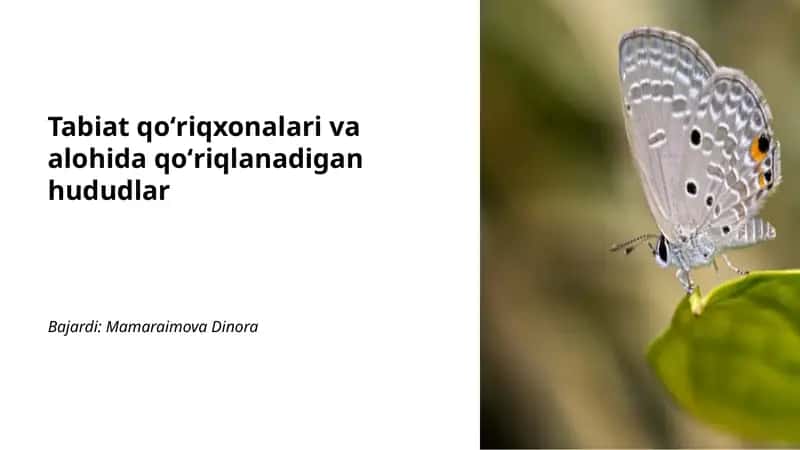 Tabiat qoʻriqxonalari va alohida qoʻriqlanadigan hududlar