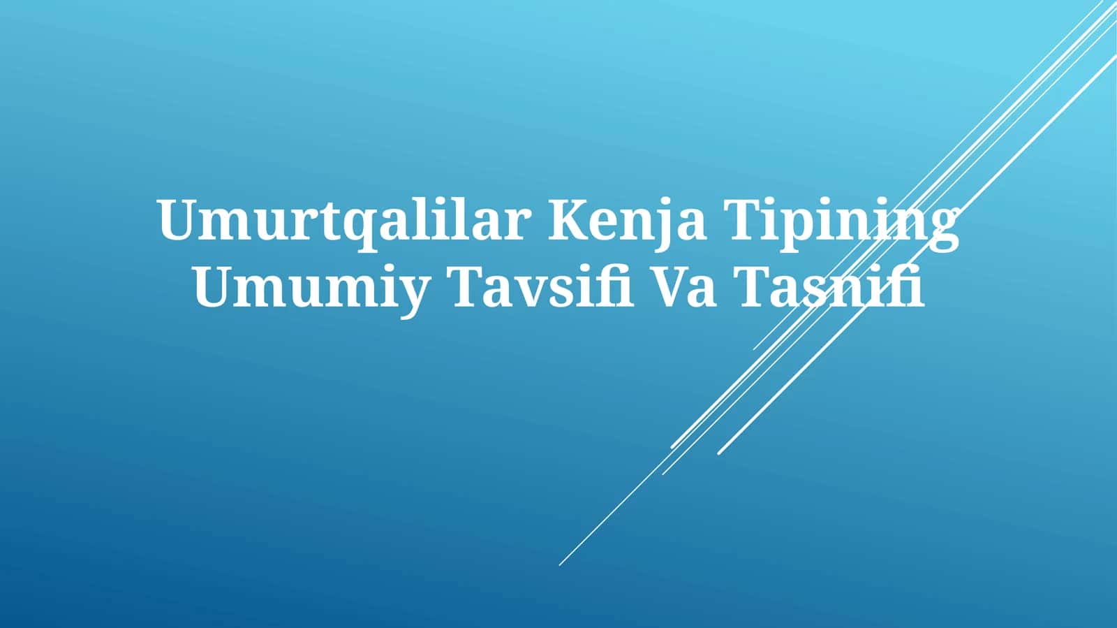 Umurtqalilar Kenja Tipining Umumiy TavsifiVaTasnifi