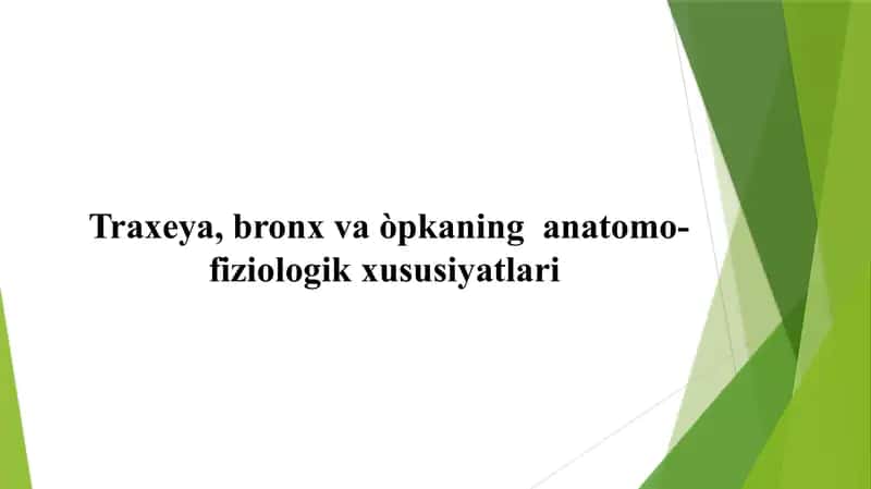 Traxeya, bronx va òpkaning anatom-fiziologik xususiyatlari