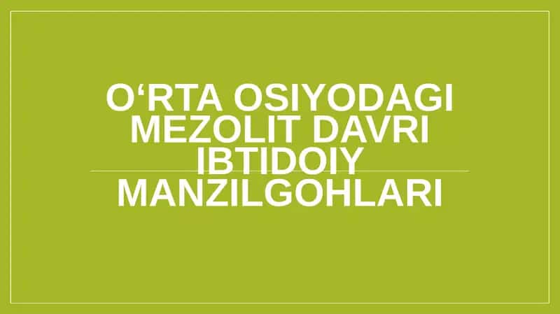 O‘rta Osiyodagi mezolit davri ibtidoiy manzilgohlari