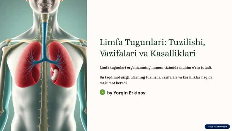 Limfa Tugunlari: Tuzilishi, Vazifalari va Kasalliklari