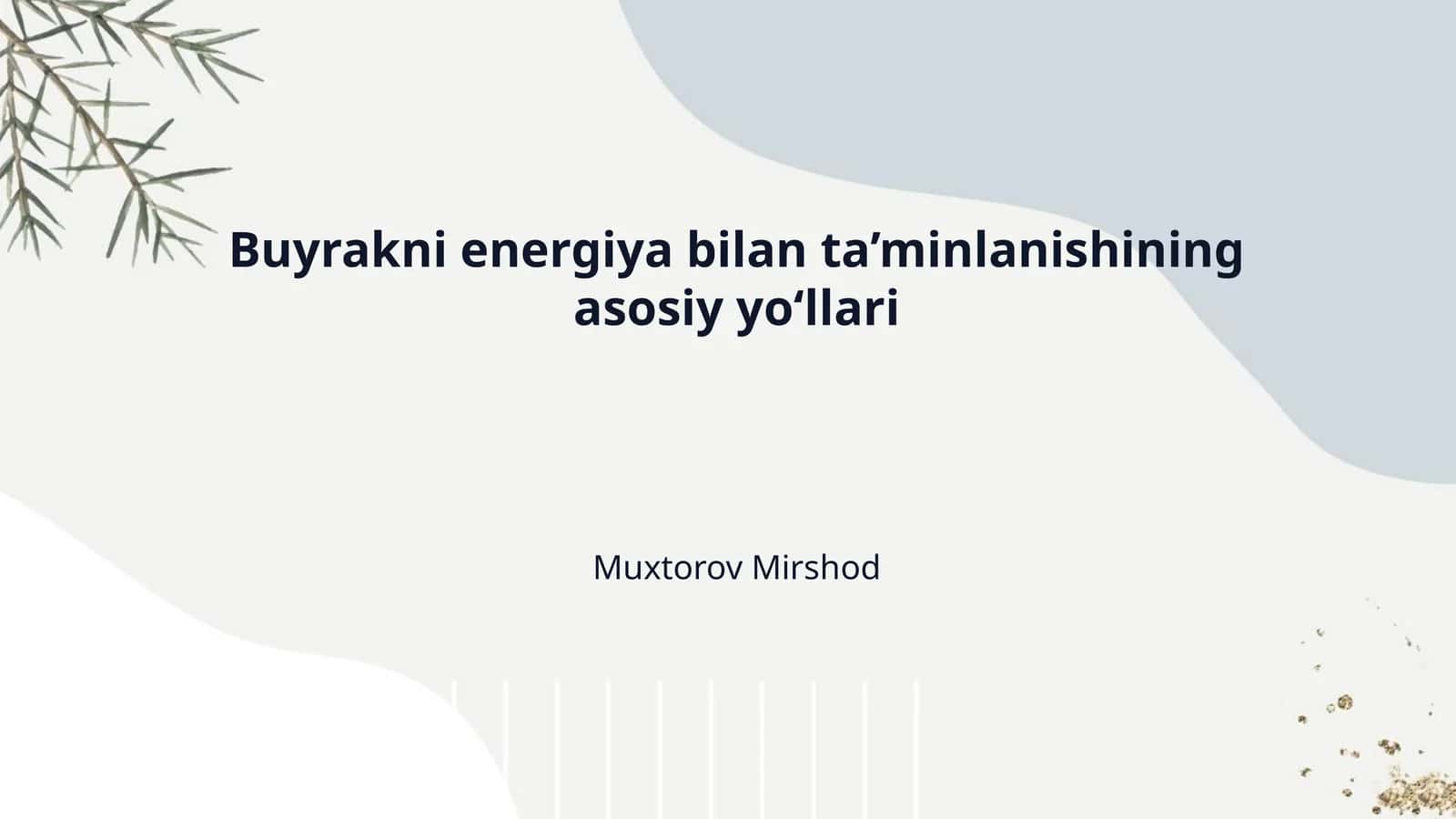 Buyrakni energiya bilan ta’minlanishining asosiy yo‘llari