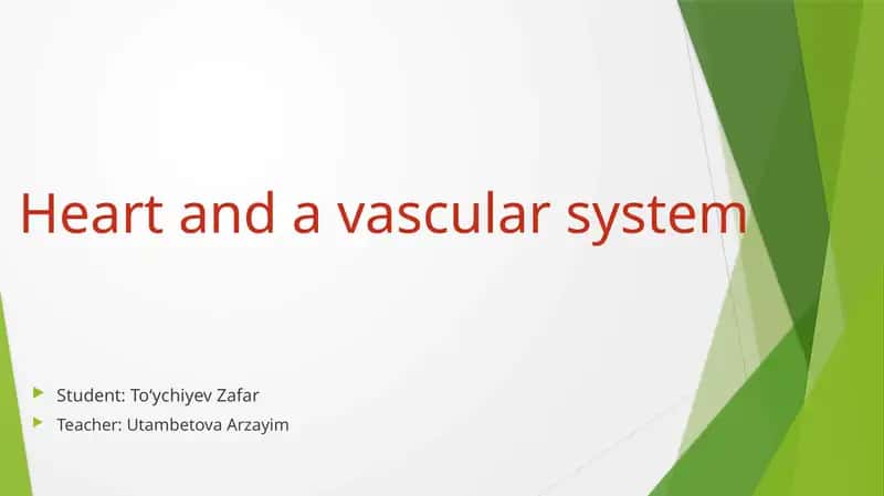 Heart and a vascular system