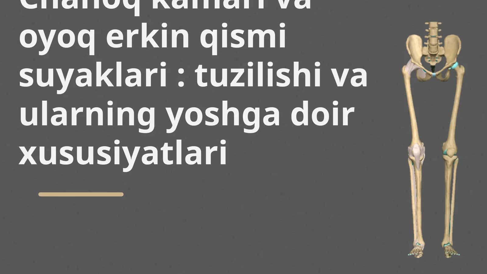 Chanoq kamari va oyoq erkin qismi suyaklari : tuzilishi va ularning yoshga doir xususiyatlari