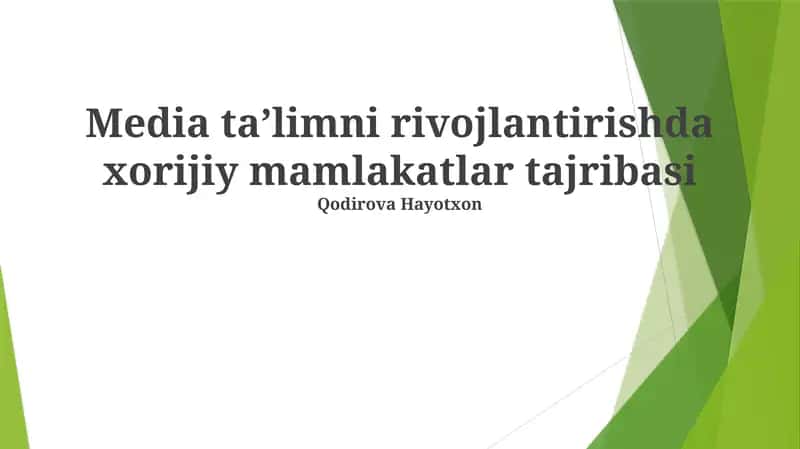 Media taʼlimni rivojlantirishda xorijiy mamlakatlar tajribasi
