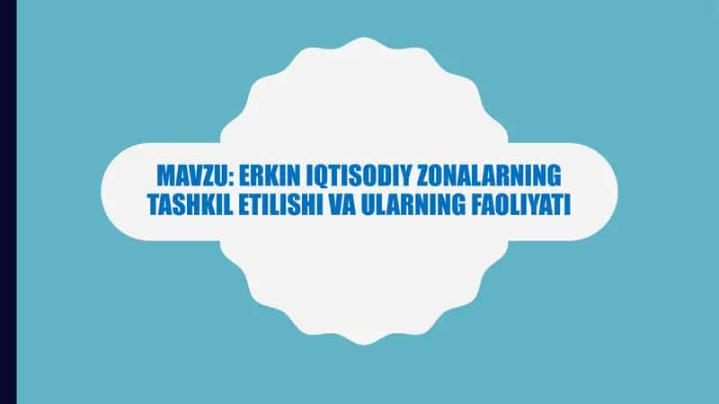 Erkin iqtisodiy zonalarning tashkil etilishi va ularning faoliyati