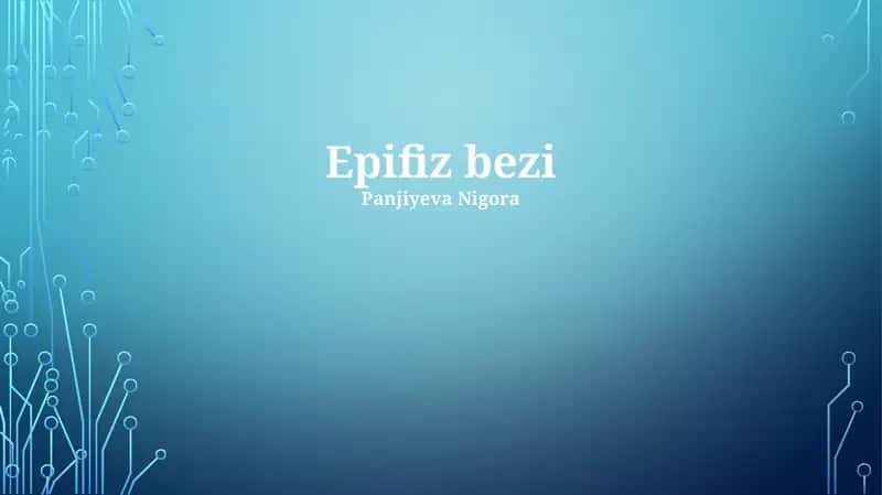 Epifiz bezi
