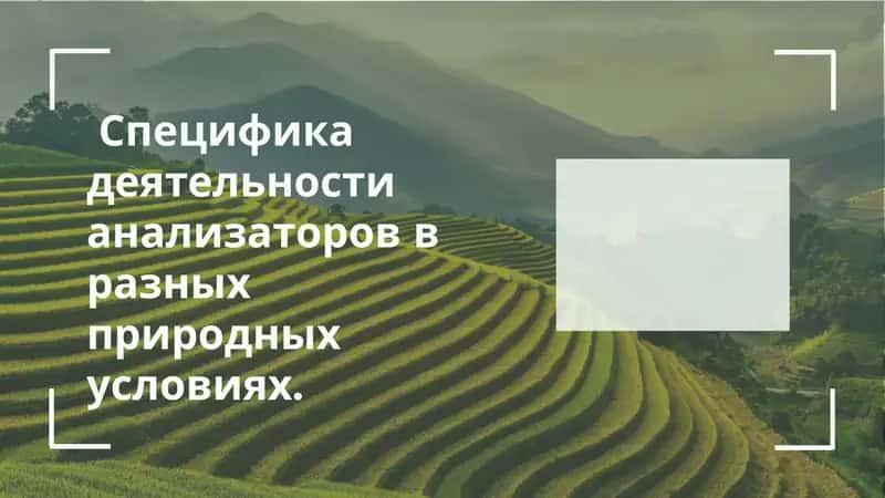 Введение в роль анализаторов
