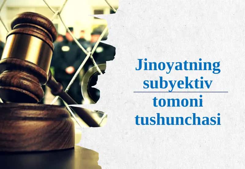 Jinoyatning subyekitv tomonitushunchasi