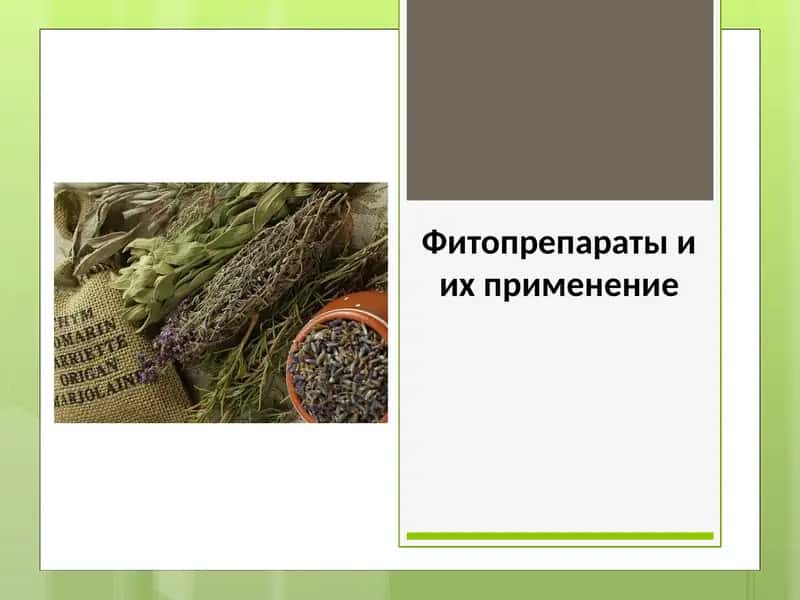 Фитопрепараты и их применение