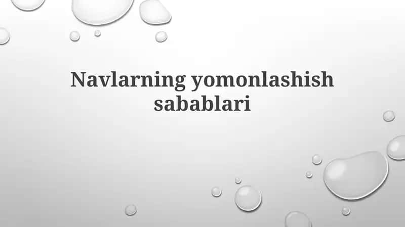 Navlarning yomonlashish sabablari