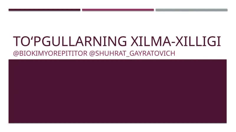To‘pgullarning Xilma-xilligi