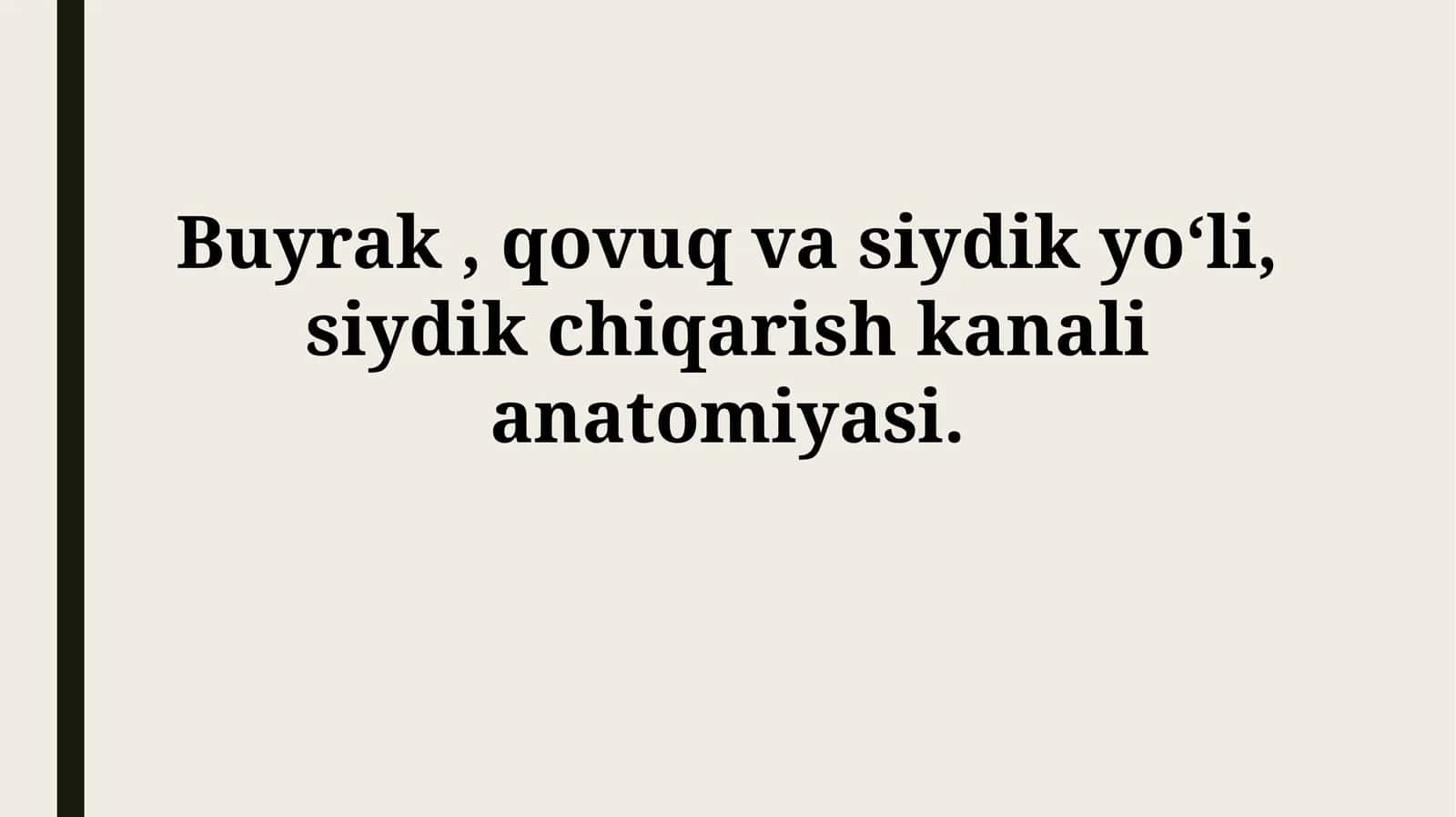 Buyrak, qovuq va siydik yoʻli, siydik chiqarish kanalianatomiyasi