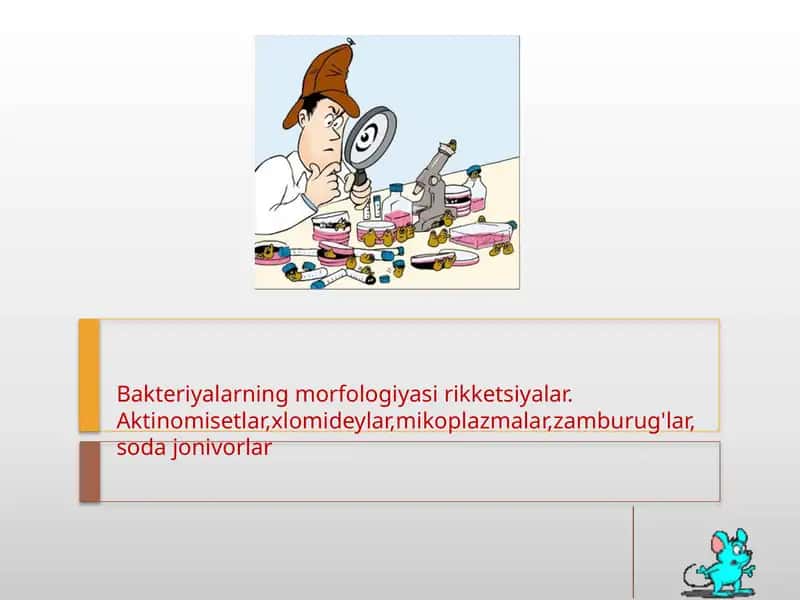 Bakteriyalarning morfologiyasi rikketsiyalar.