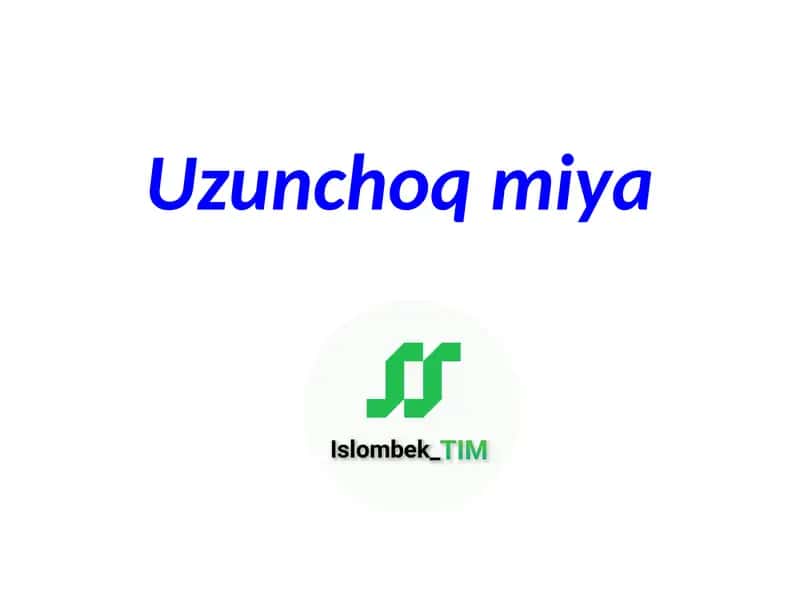 Uzunchoq miya