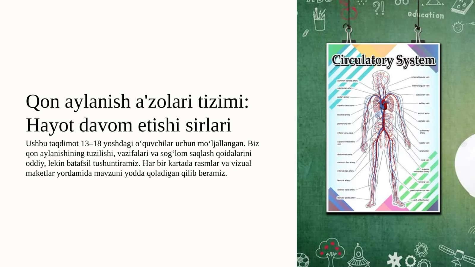 Qon aylanish azolari tizimi, Hayot davom etishi sirlari