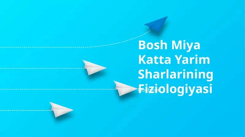 Bosh Miya Katta Yarim Sharlarining Fiziologiyasi