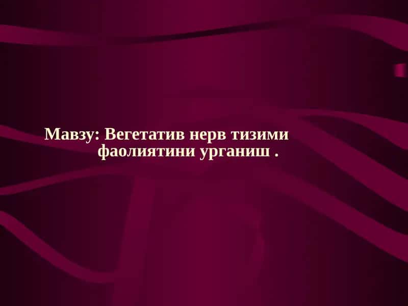 Вегетатив невртизм фаолияти