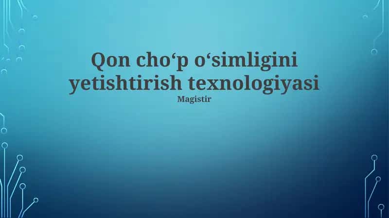 Qon choʻp oʻsimligini yetishtirish texnologiyasi
