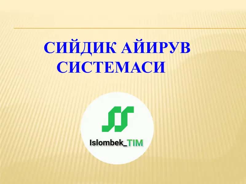 Сийдик Айирув Системаси