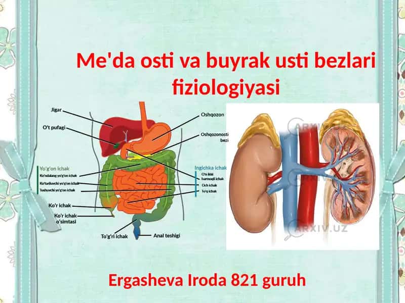 Me'da osti va buyrak ustibezlari fiziologiyasi